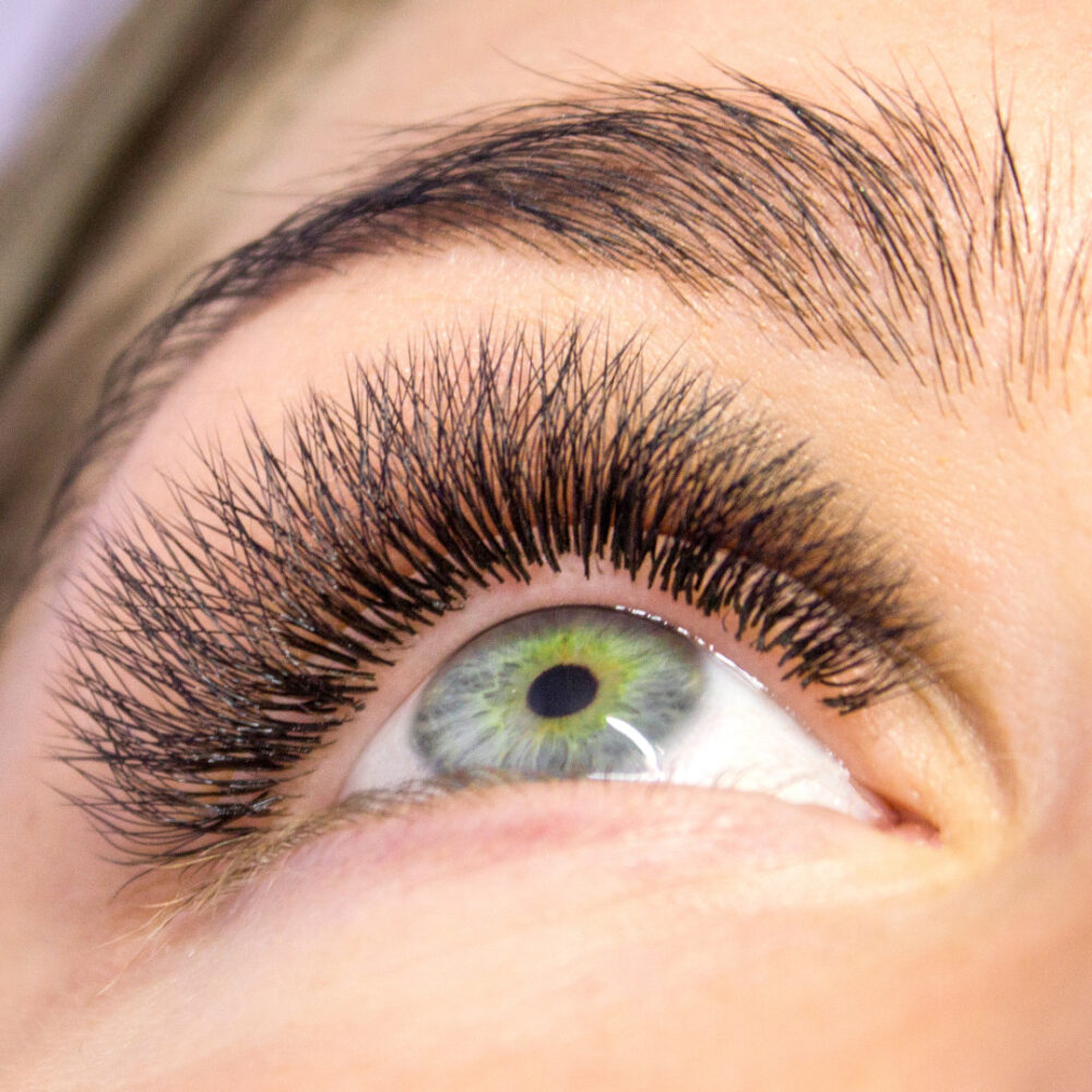 Rzęsy Volume Easy Fan Camellia